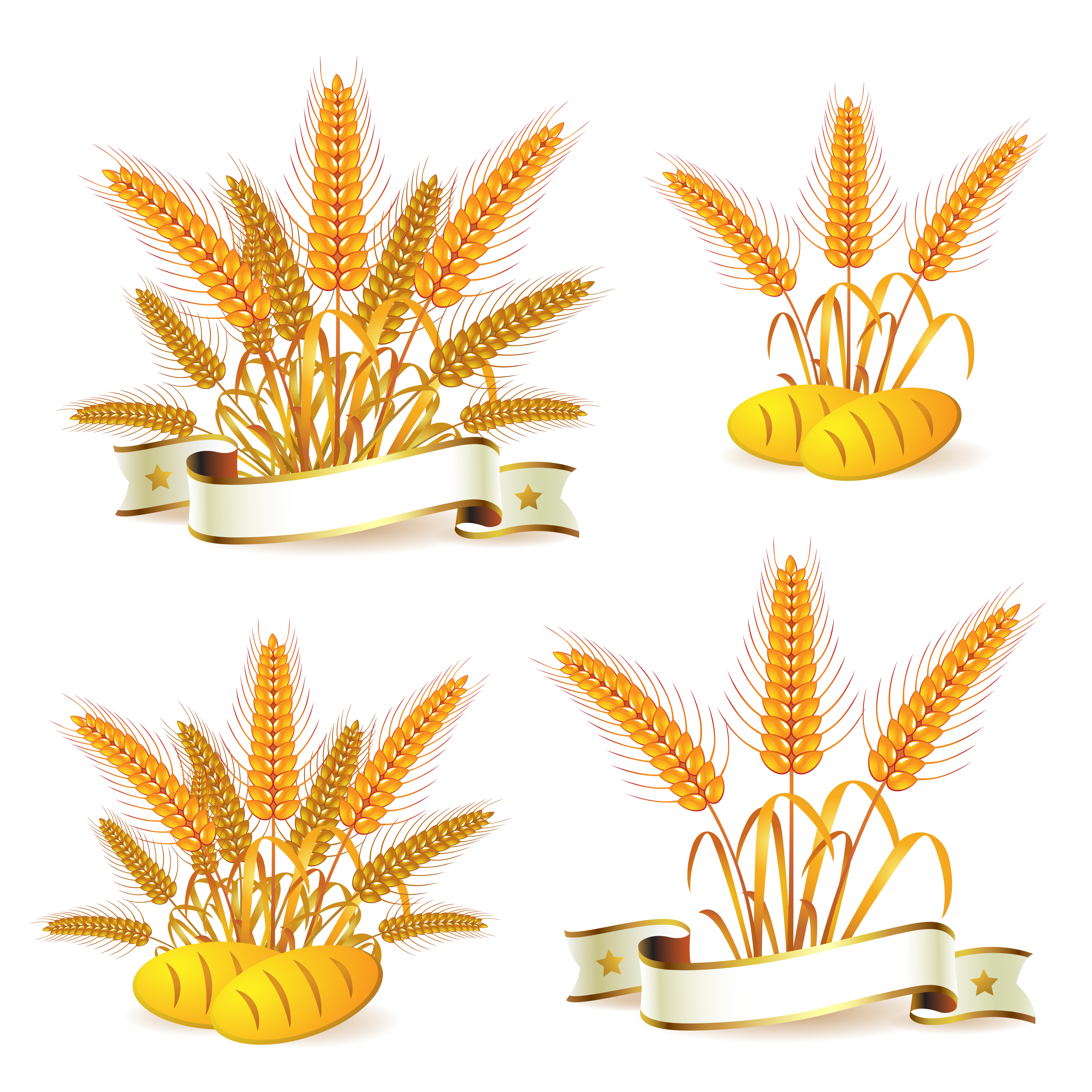 bread with wheat vector