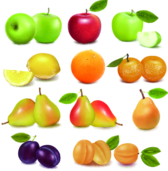 realistic fruit vector illustration set