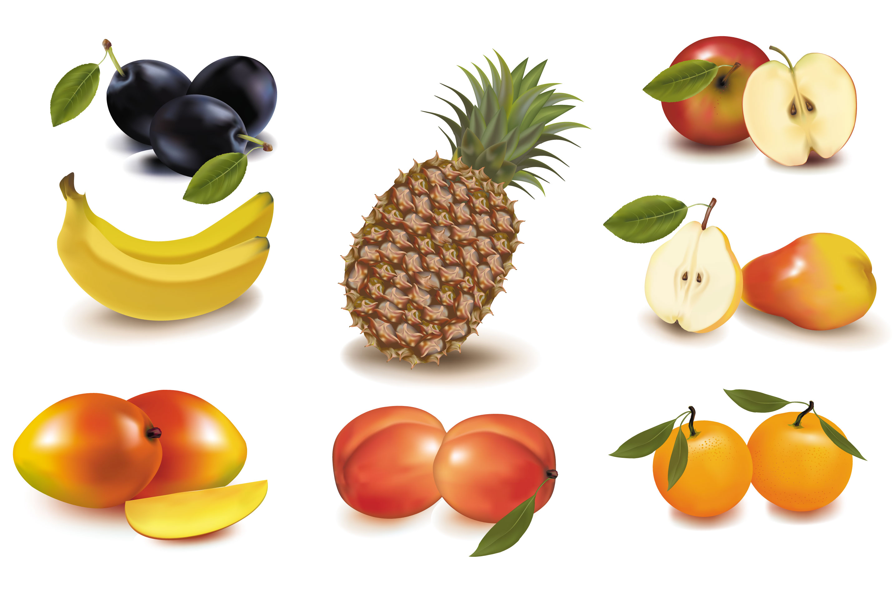 different fruit elements vector set