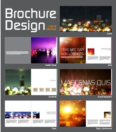 cover template brochure and magazine elements vector