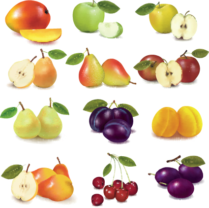 various fresh fruit design elements vector