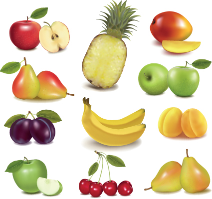 various fresh fruit design elements vector