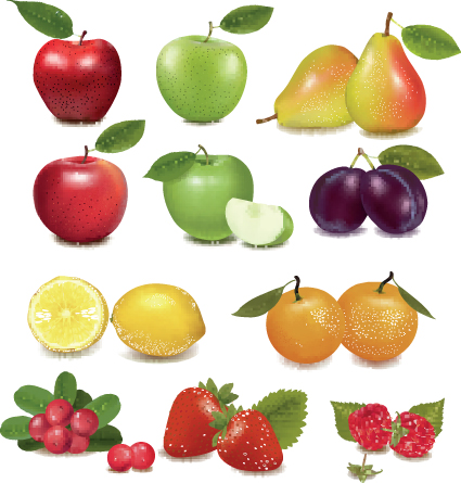 various fresh fruit design elements vector