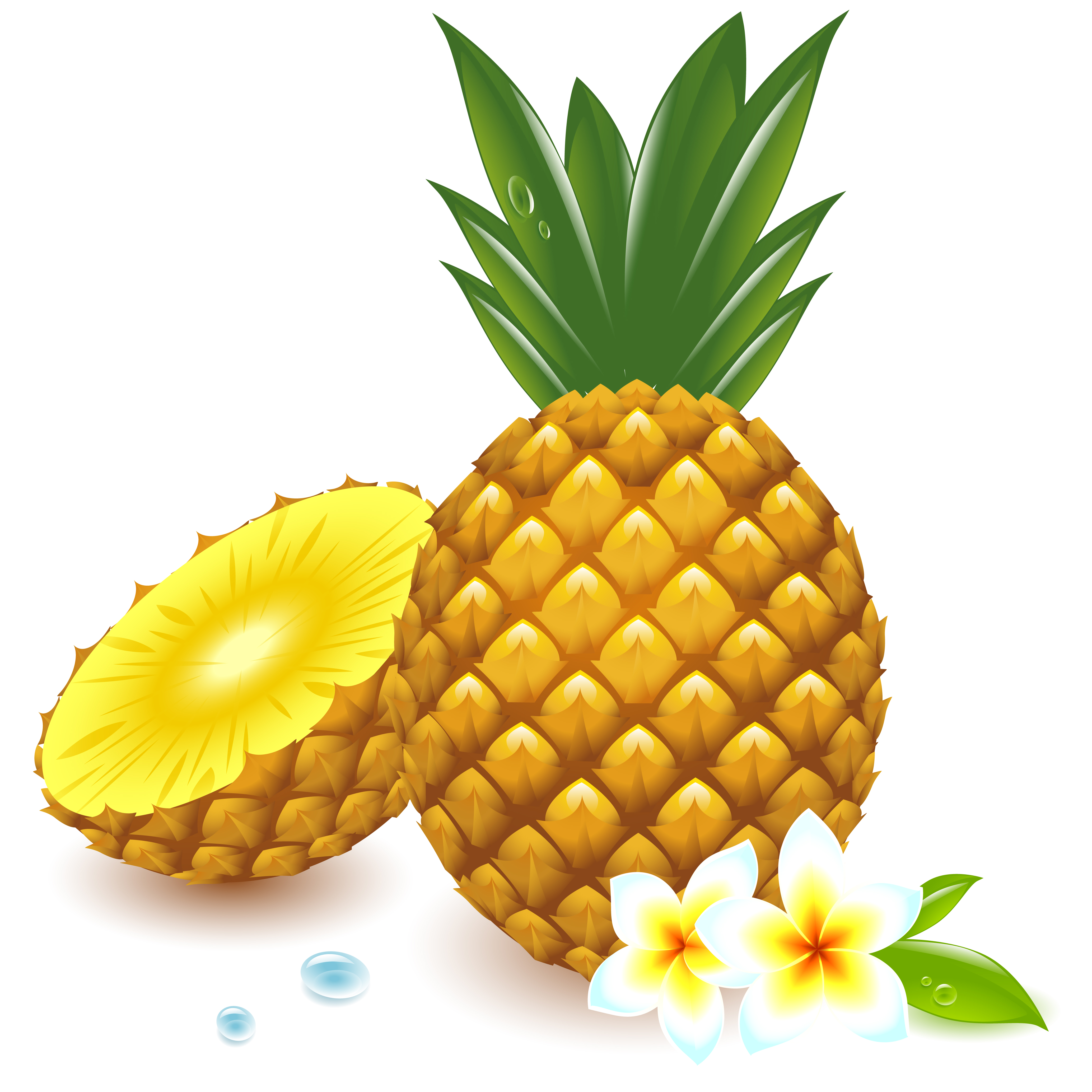 fresh pineapple vector graphic