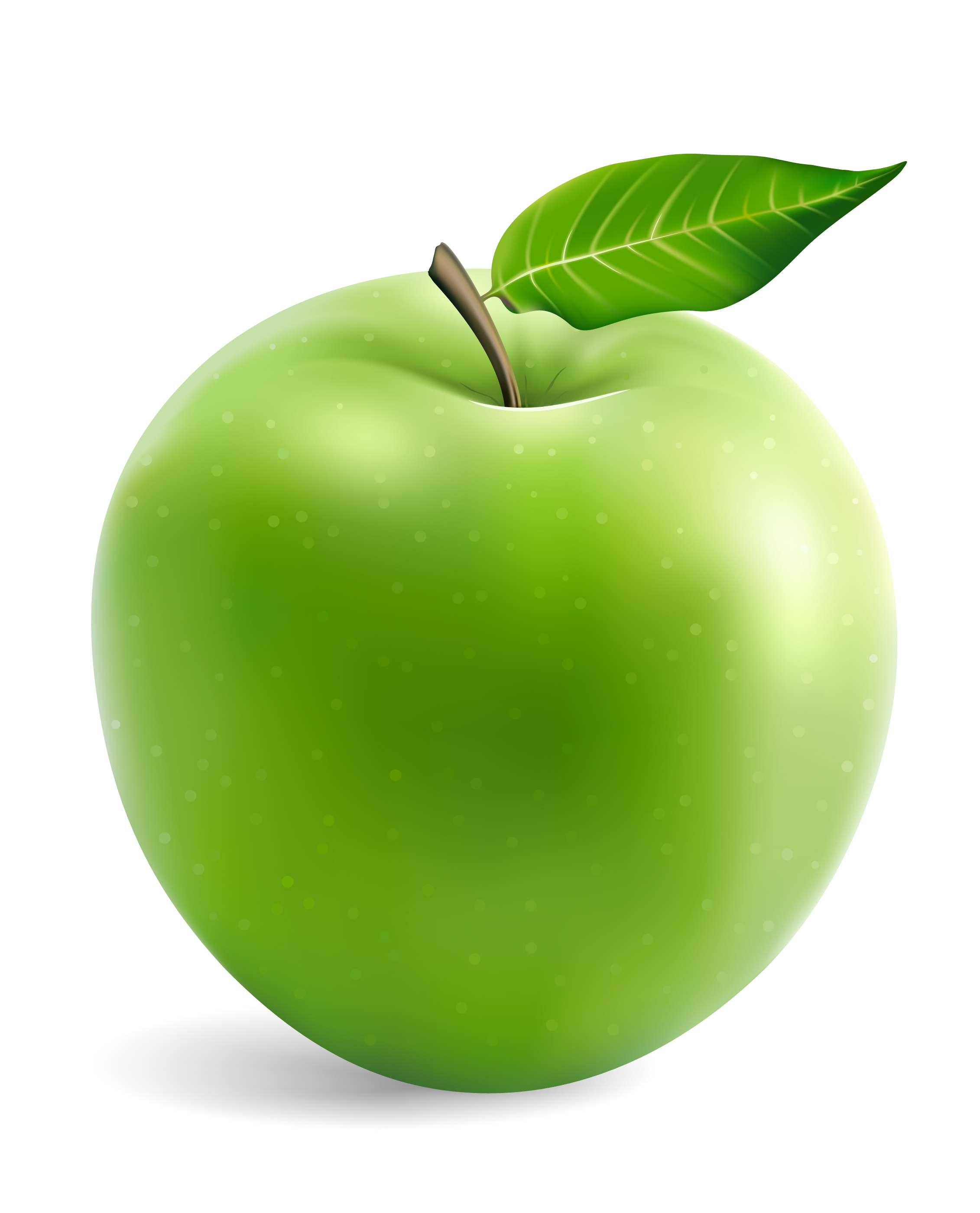 green apple vector