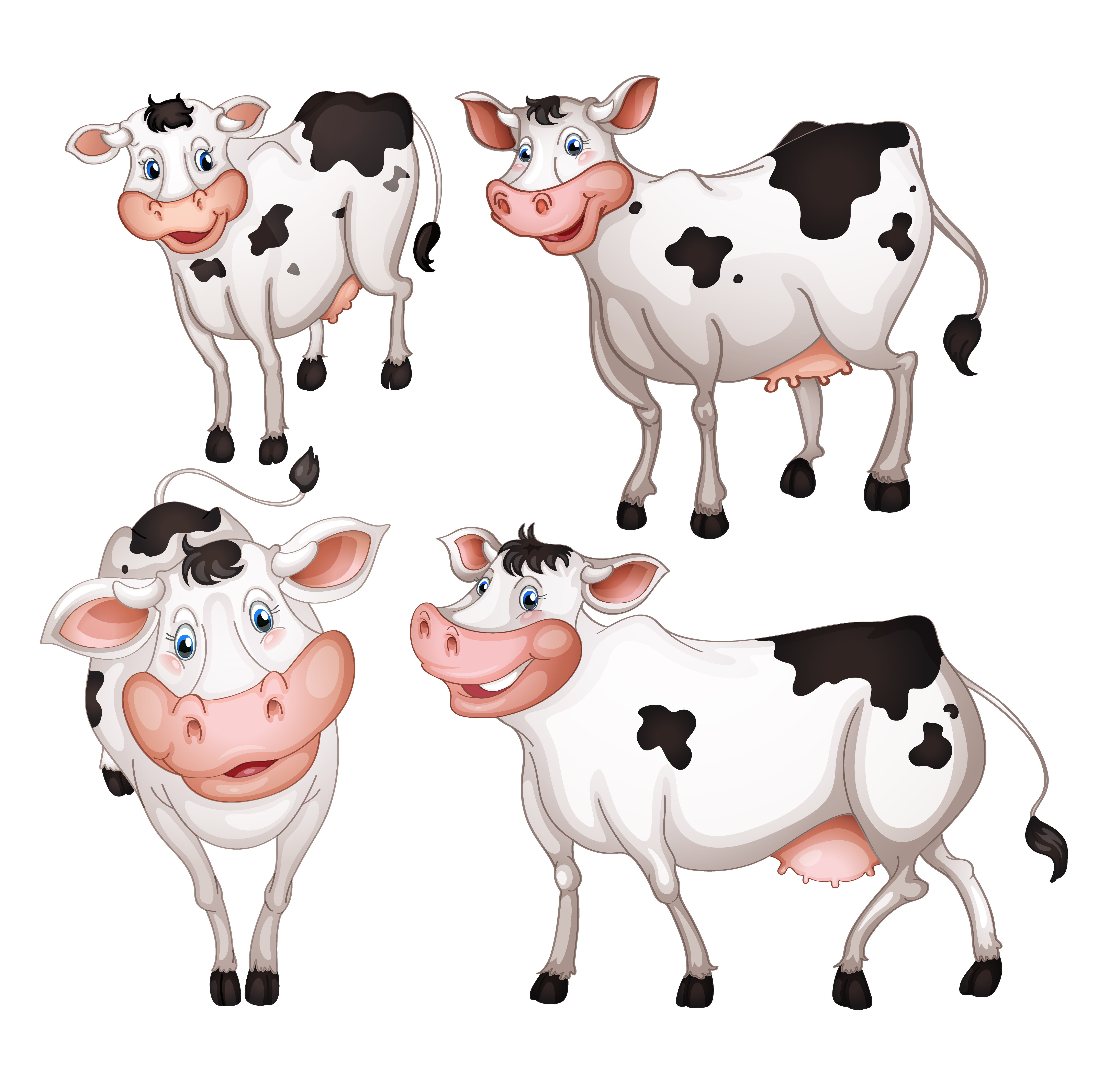 different dairy cow design vector graphics