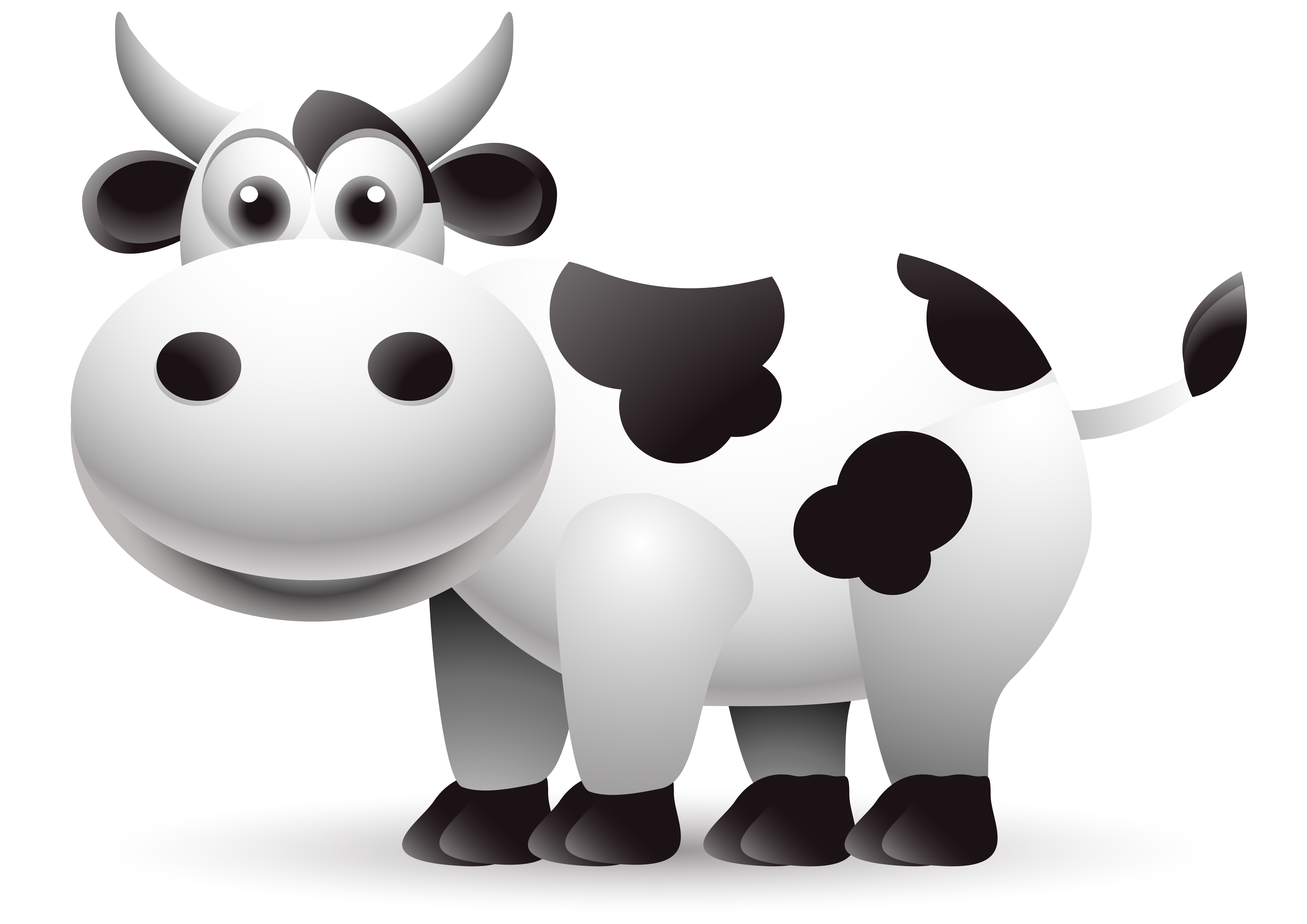 different dairy cow design vector graphics