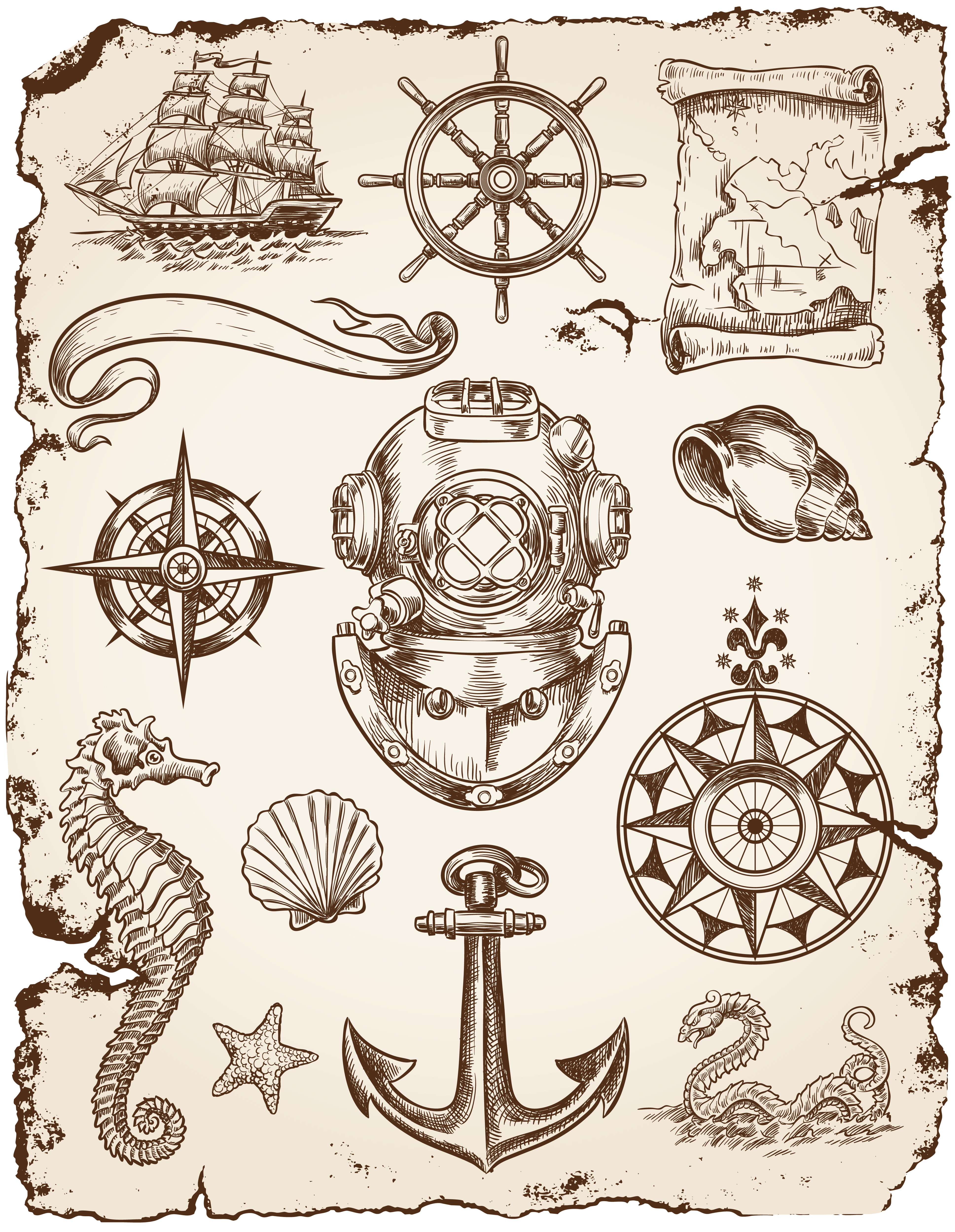 marine labels and decor vector collection