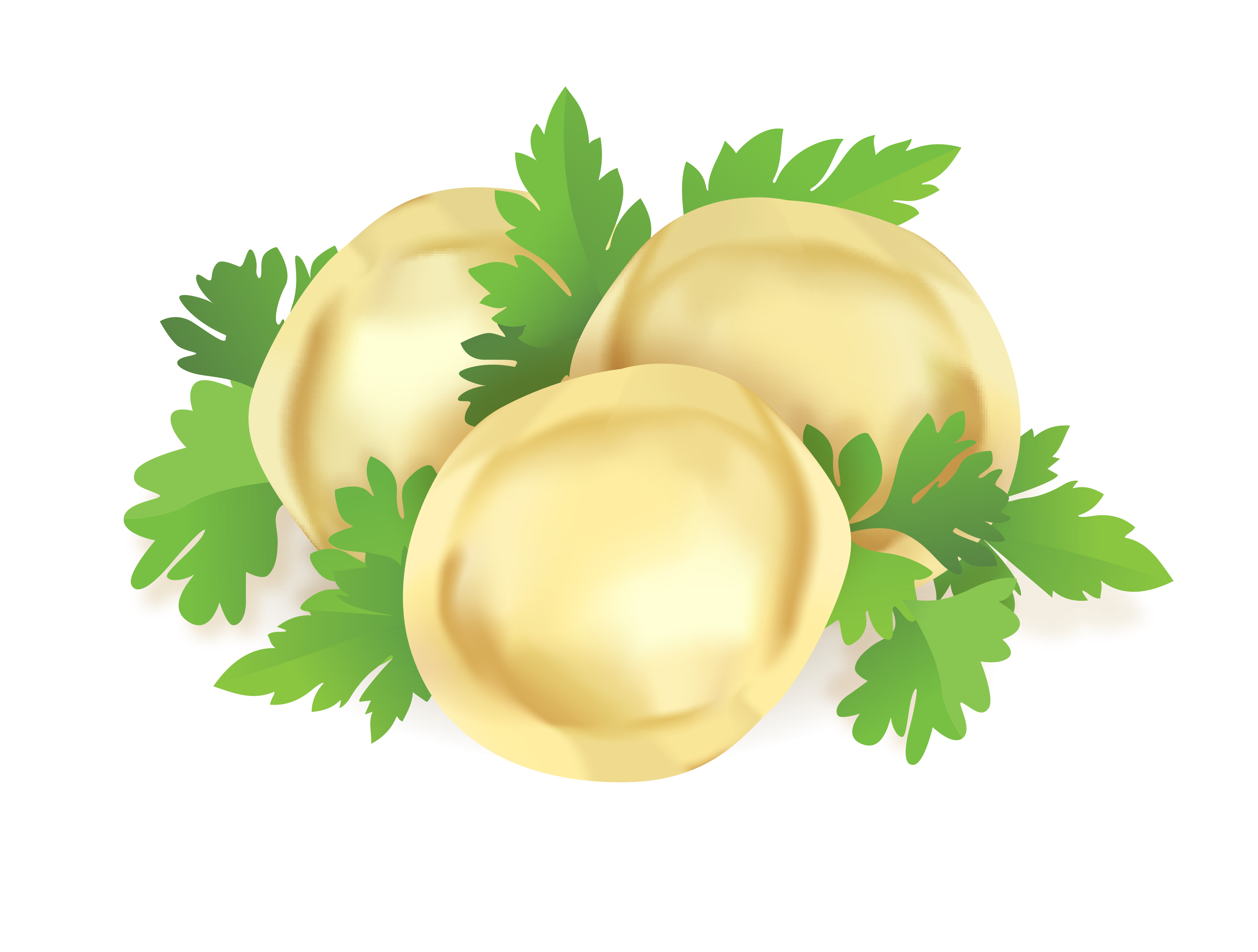 delicious pelmeni vector set