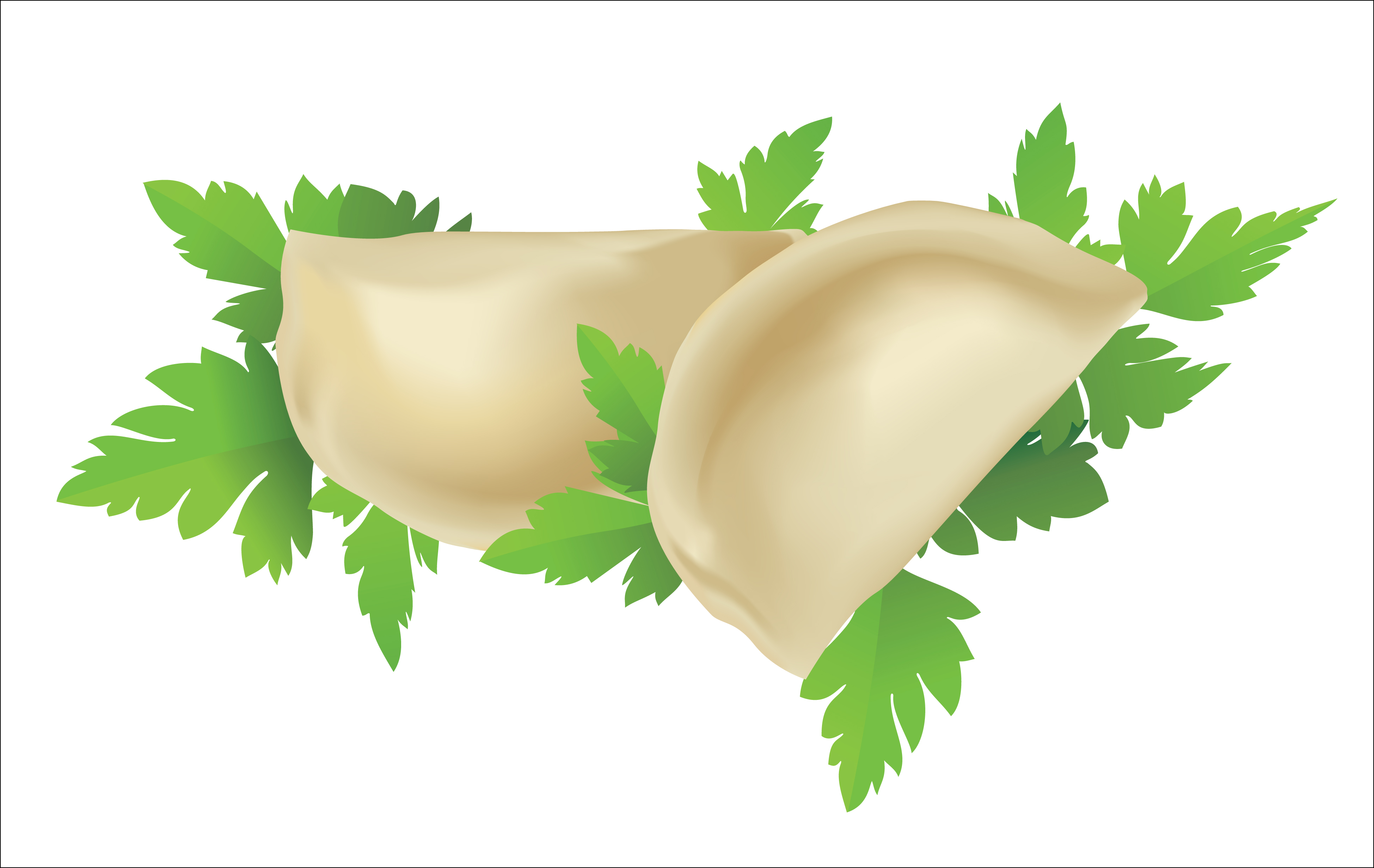 delicious pelmeni vector set