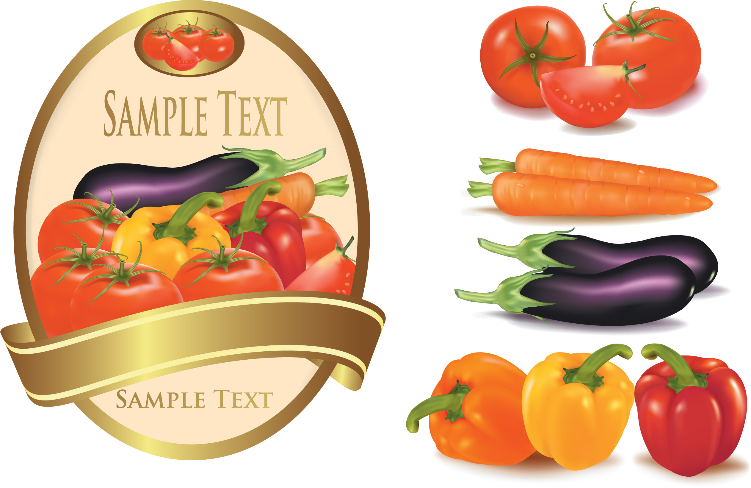 elements of salad mix vector graphic