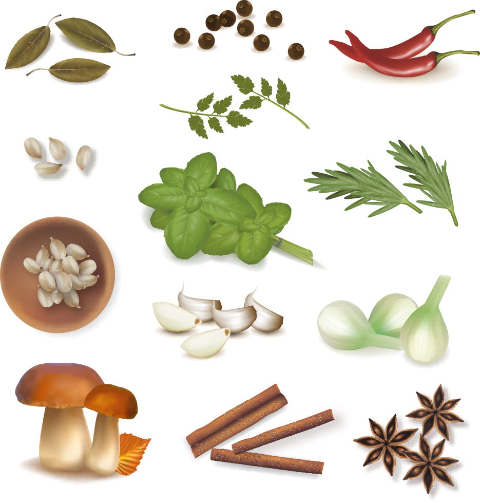 set of different spice design vector