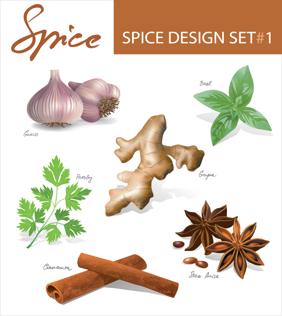 set of different spice design vector