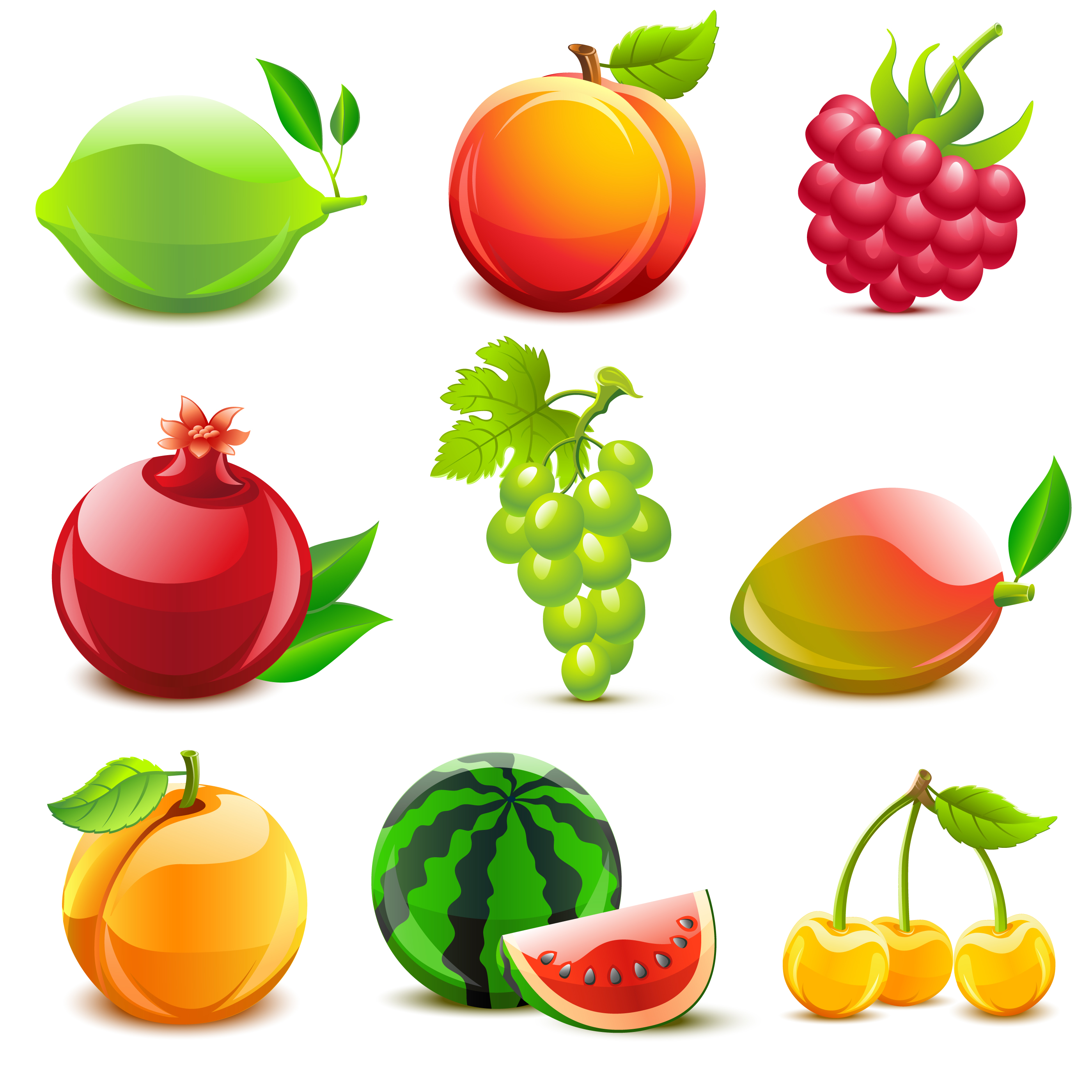 various tasty fruit elements vector