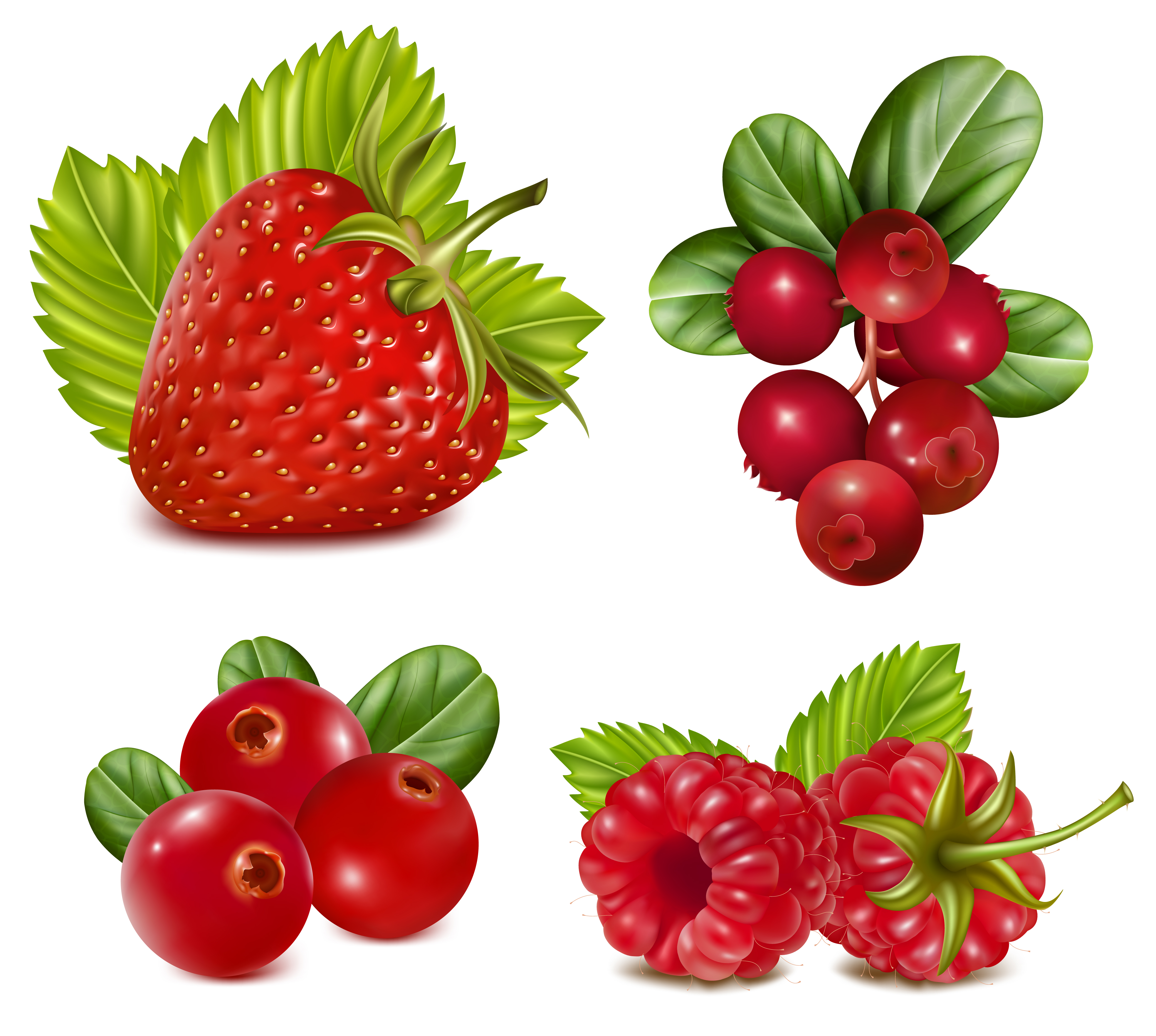 various tasty fruit elements vector