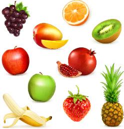 shiny fresh fruits vector set