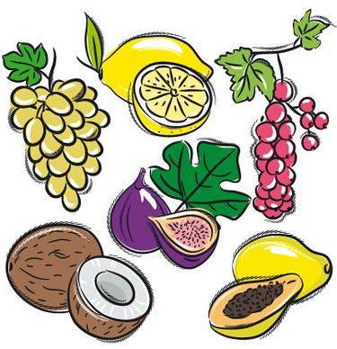 hand drawn fruits graphics vector