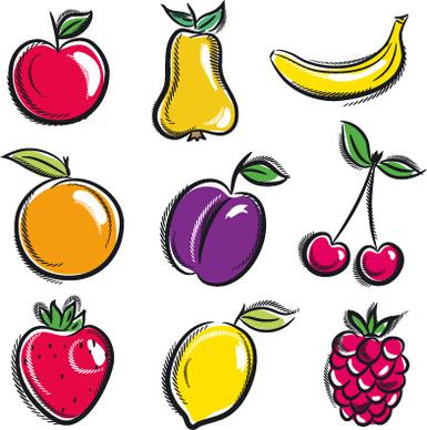 hand drawn fruits graphics vector