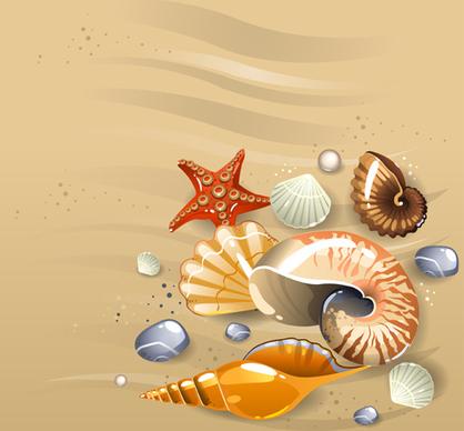 shining seashells design vector set