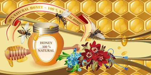 natural honey creative poster vecor