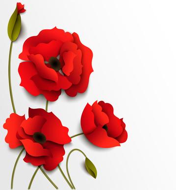 red poppy with white background vector