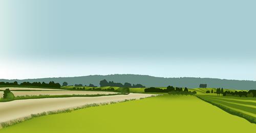 beautiful fields landscapes vector set