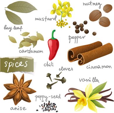 various spices design vectors set