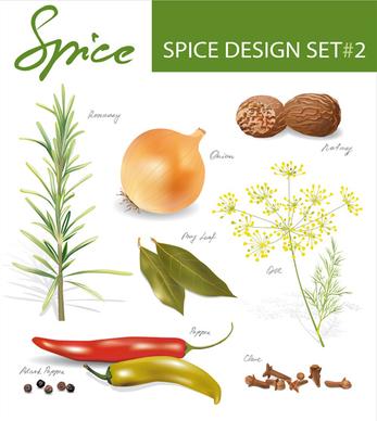 various spices design vectors set