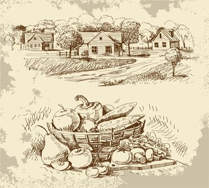 sketch village with vegetables vector