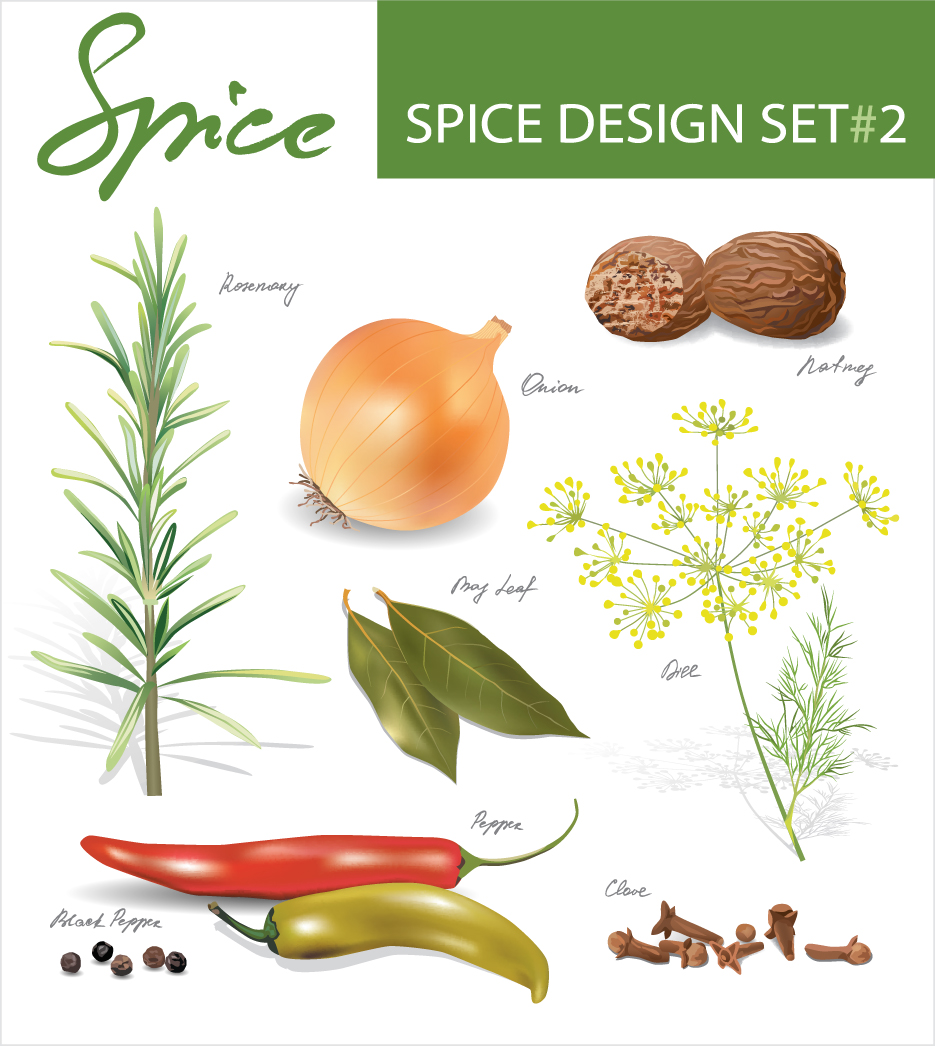 set of different spice design vector