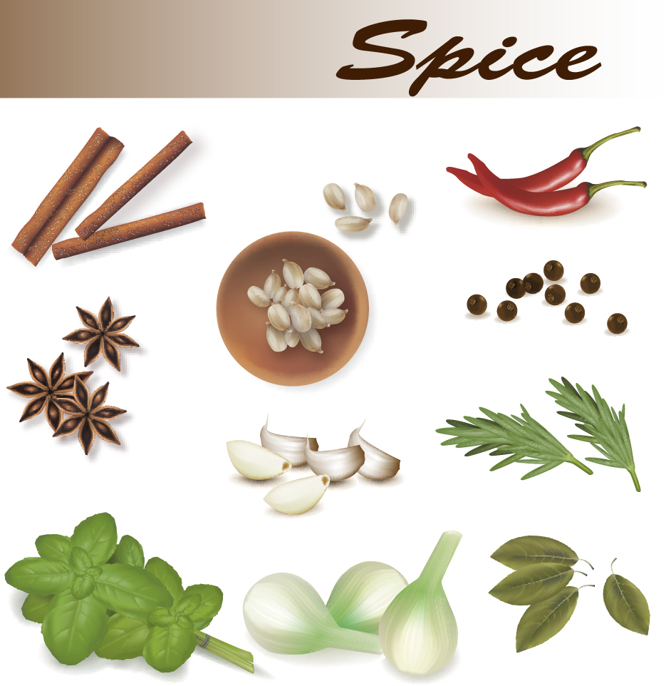 set of different spice design vector