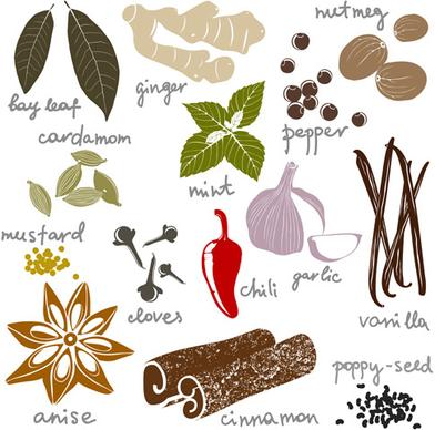 various spices design vectors set