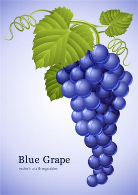 vector juicy grapes design graphic set