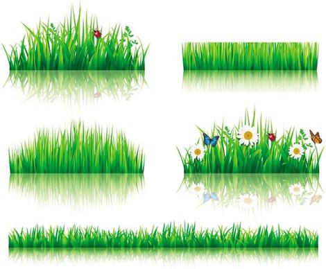 flower with grass border vector