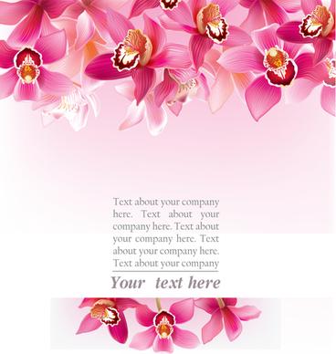 elegant orchids vector background art