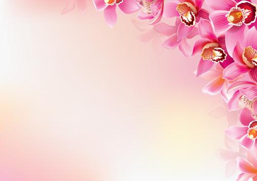 elegant orchids vector background art