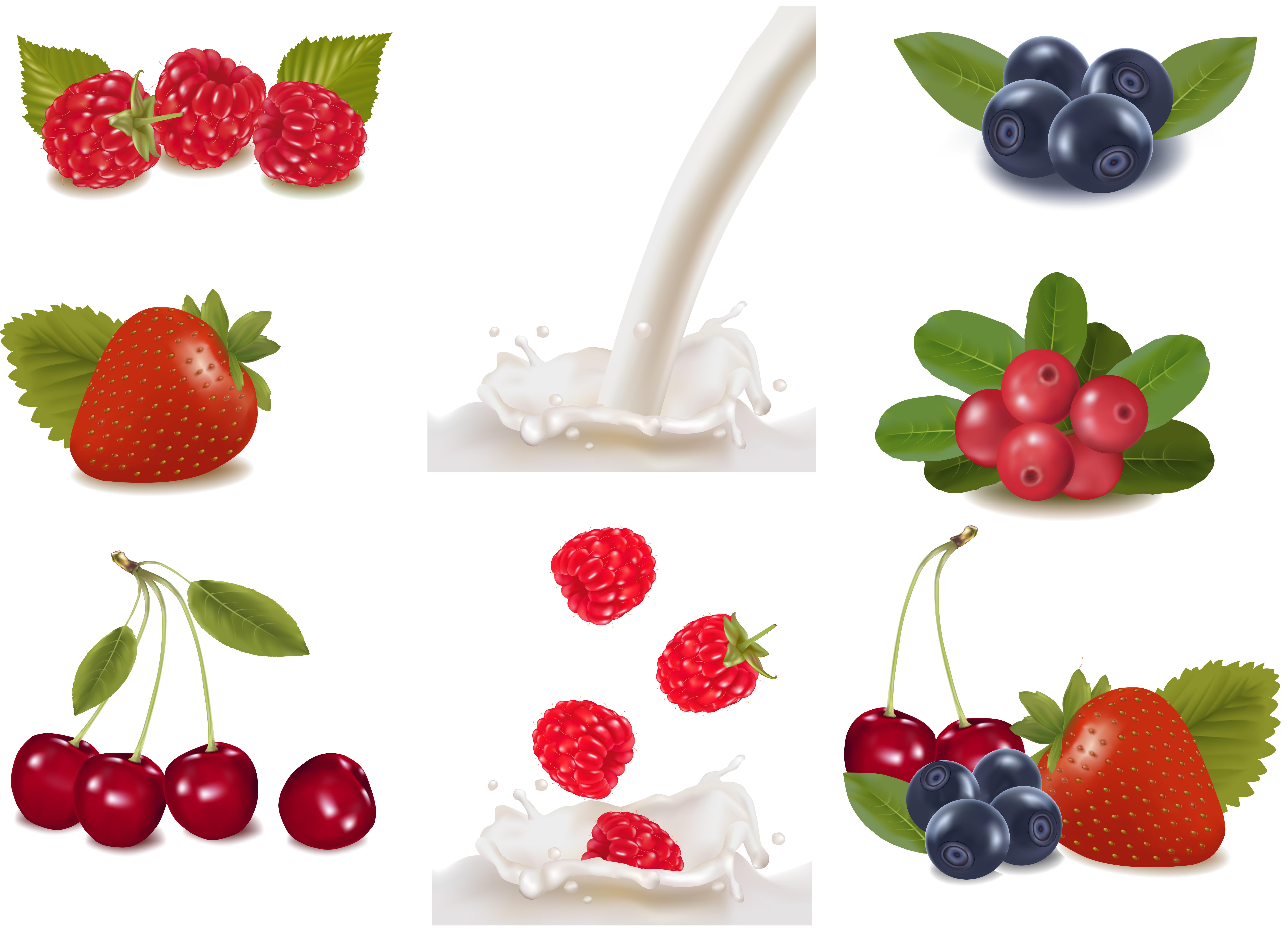 fresh fruit vector