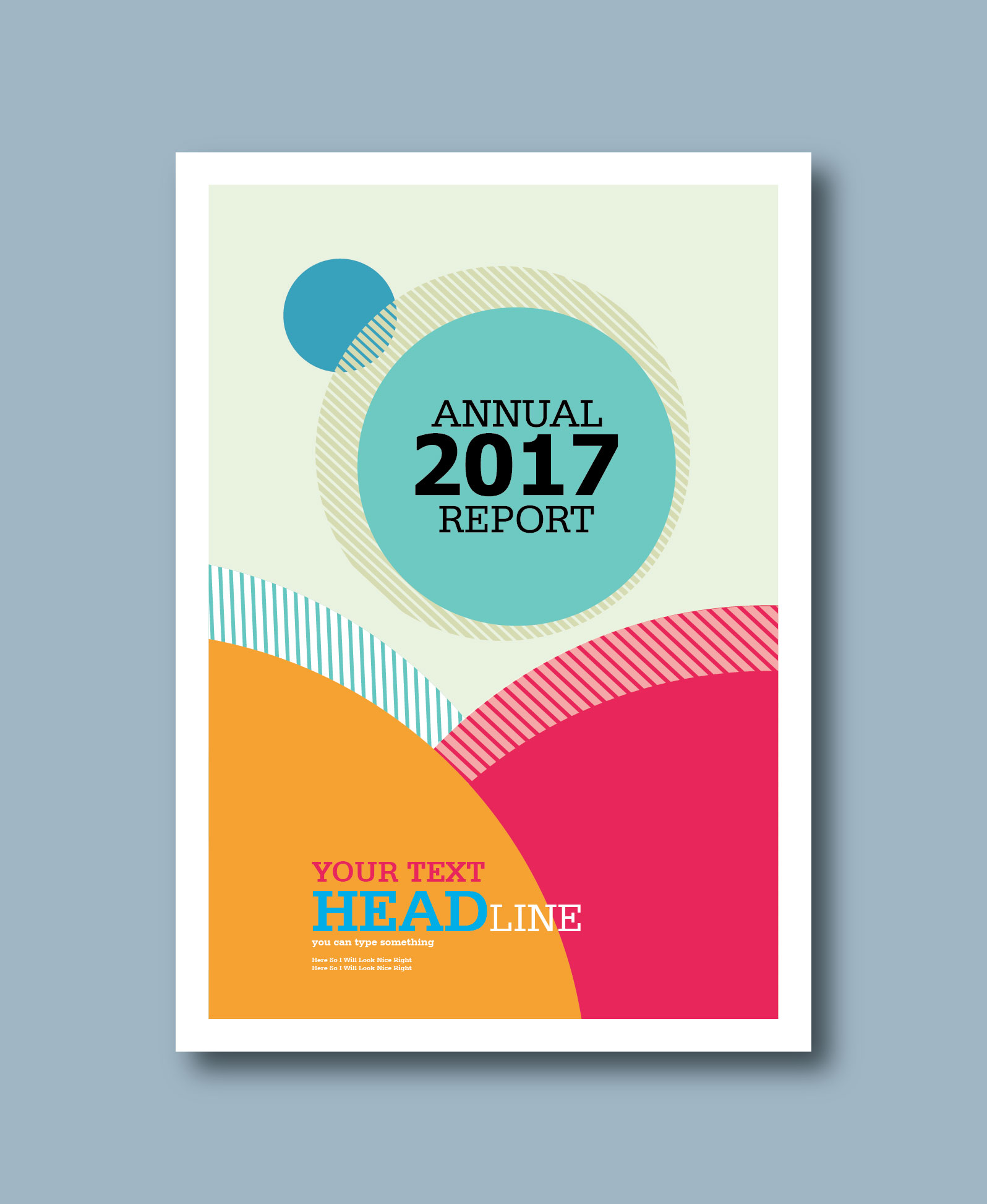 annual report 2017