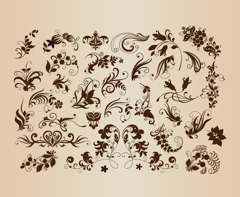 design floral set vector illustration