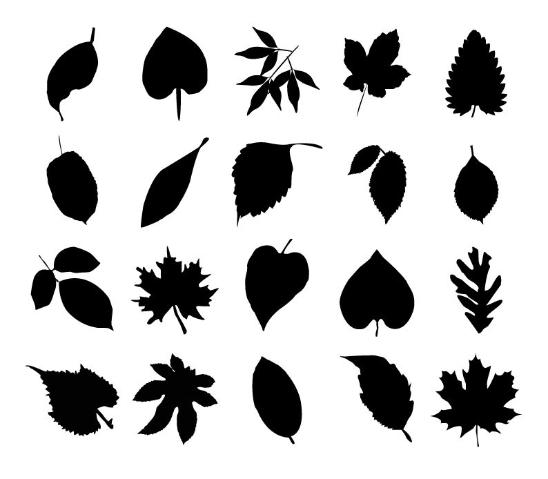 vector collection of leaf silhouettes