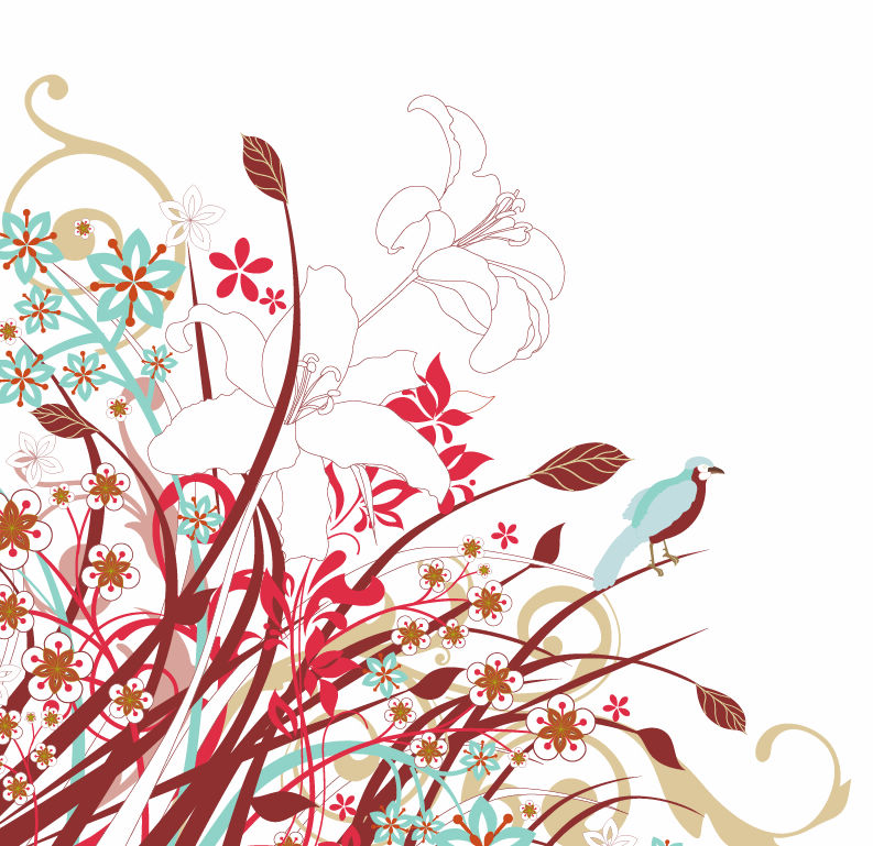 beautiful flower vector illustration