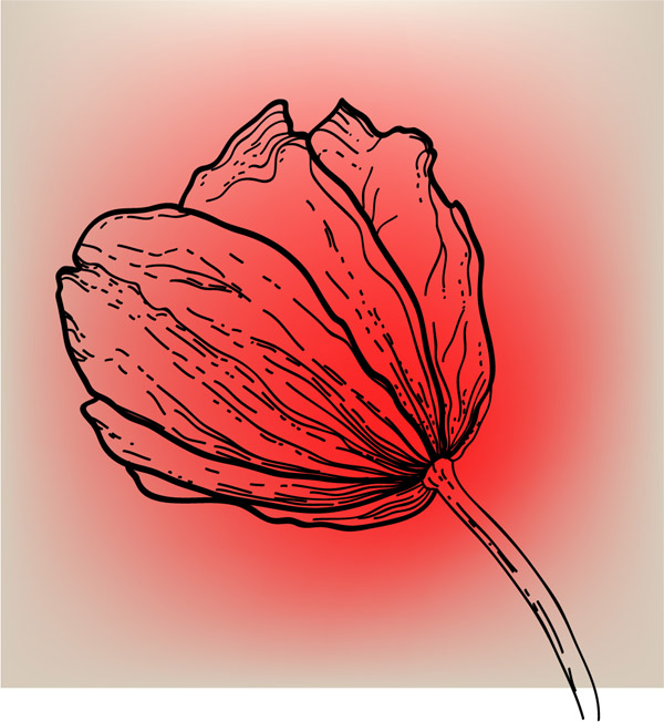 vivid hand drawn tulip background vector