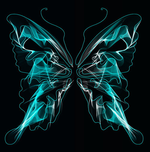 black background with bright butterfly vector graphic