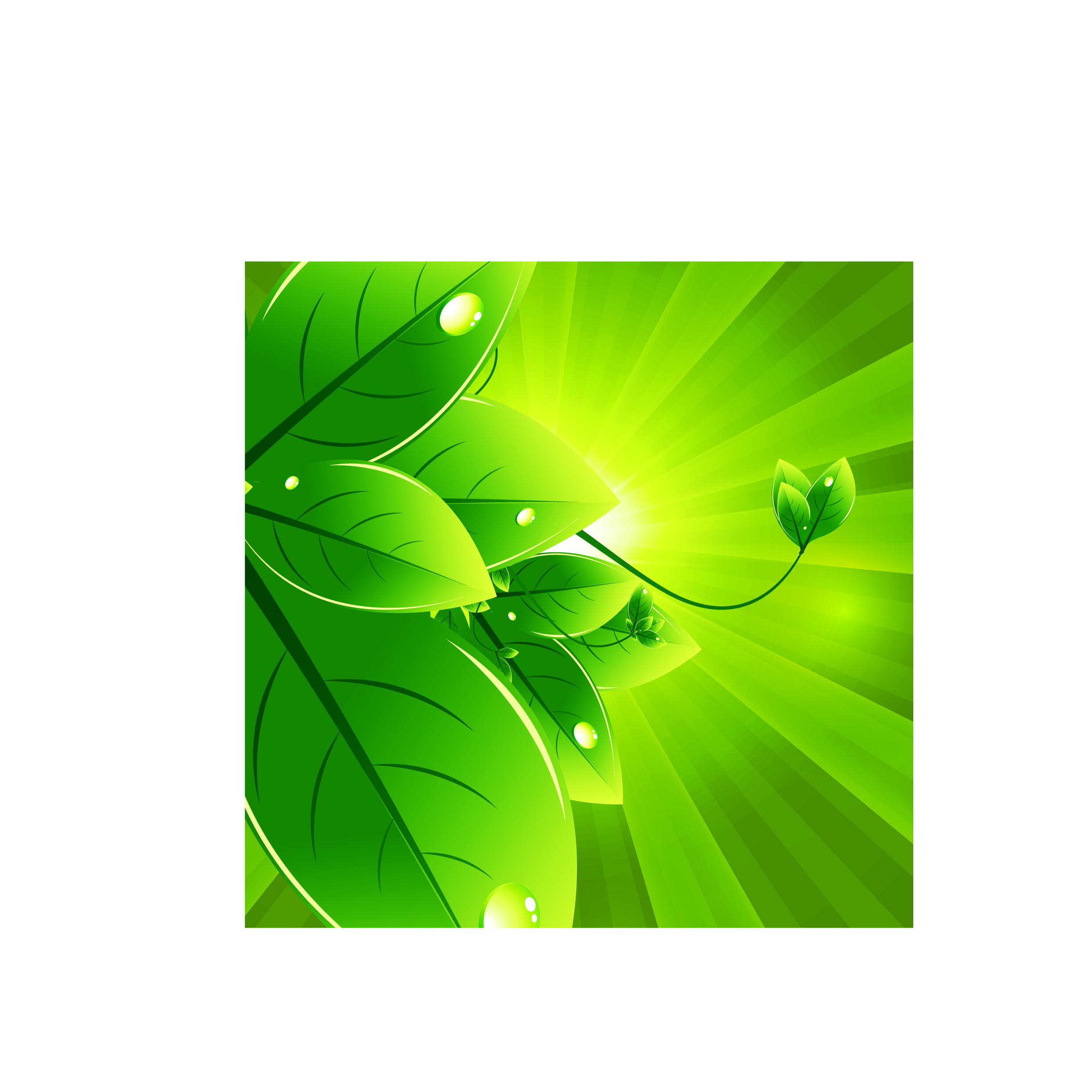 set of eco friendly with green leaves background vector