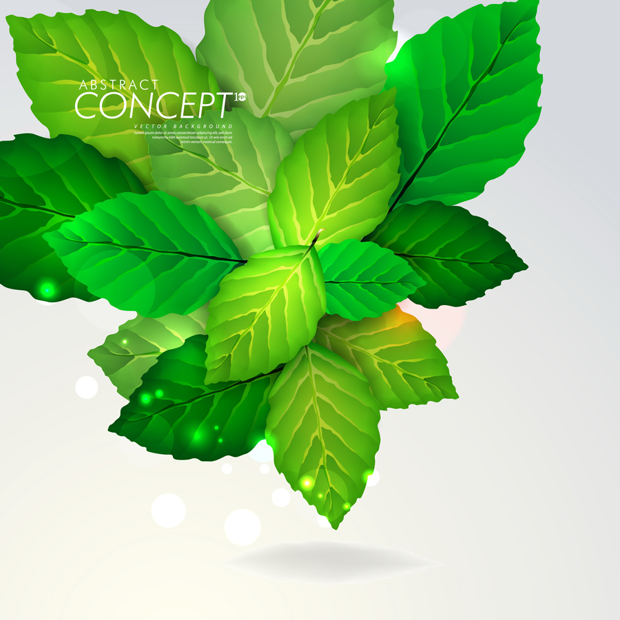 green leaves concept background elements vector