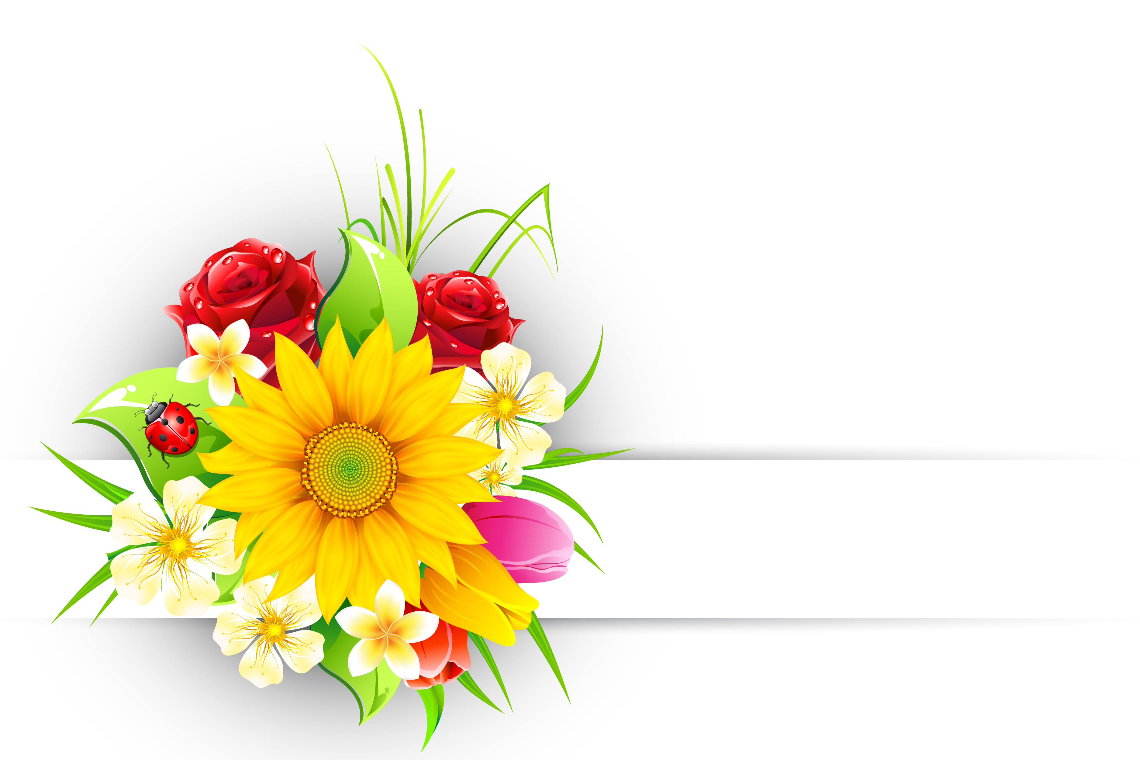 spring flower elements greeting cards vector