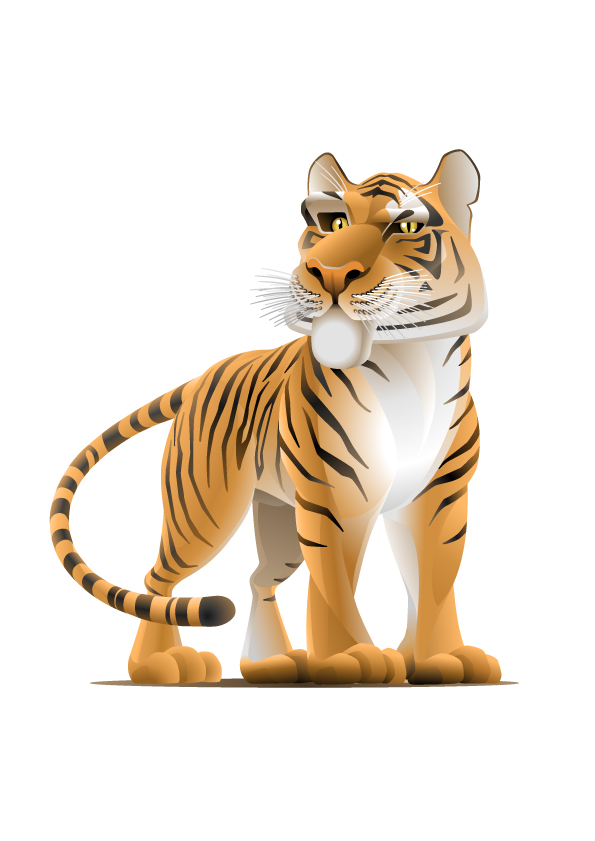 set of tiger vector picture art