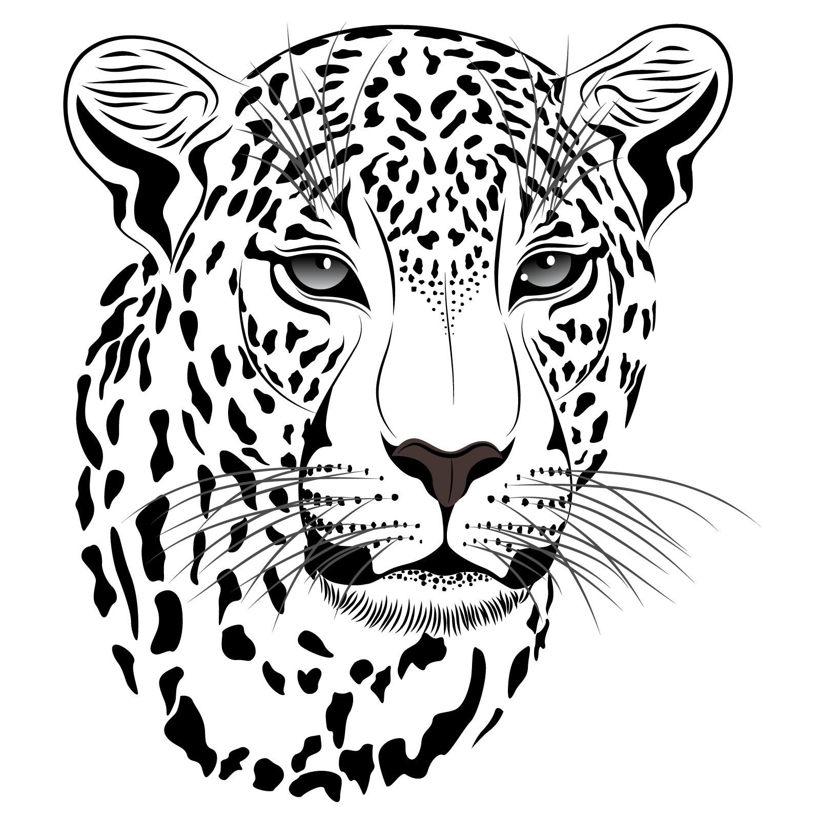 set of cheetah vector picture art