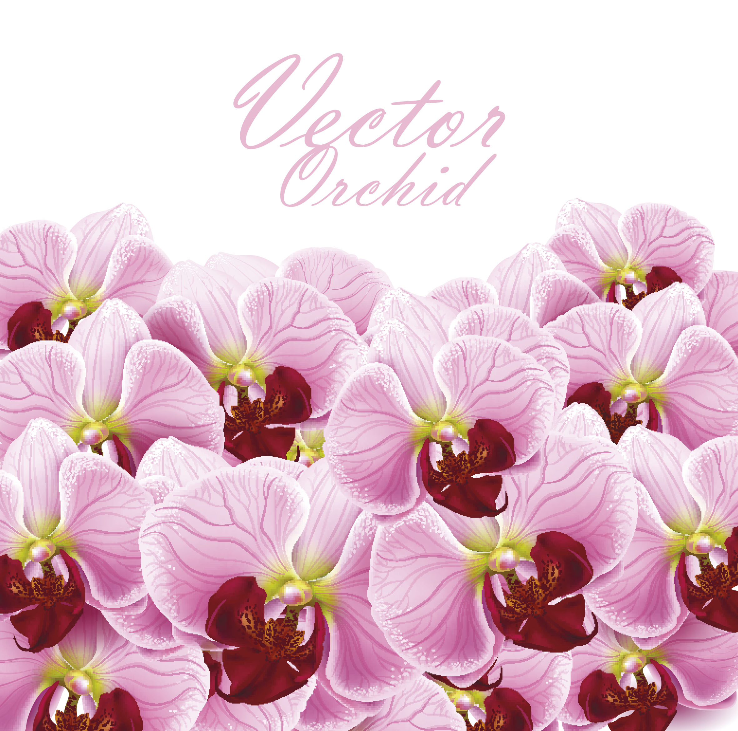 set of with flowers elements background vector