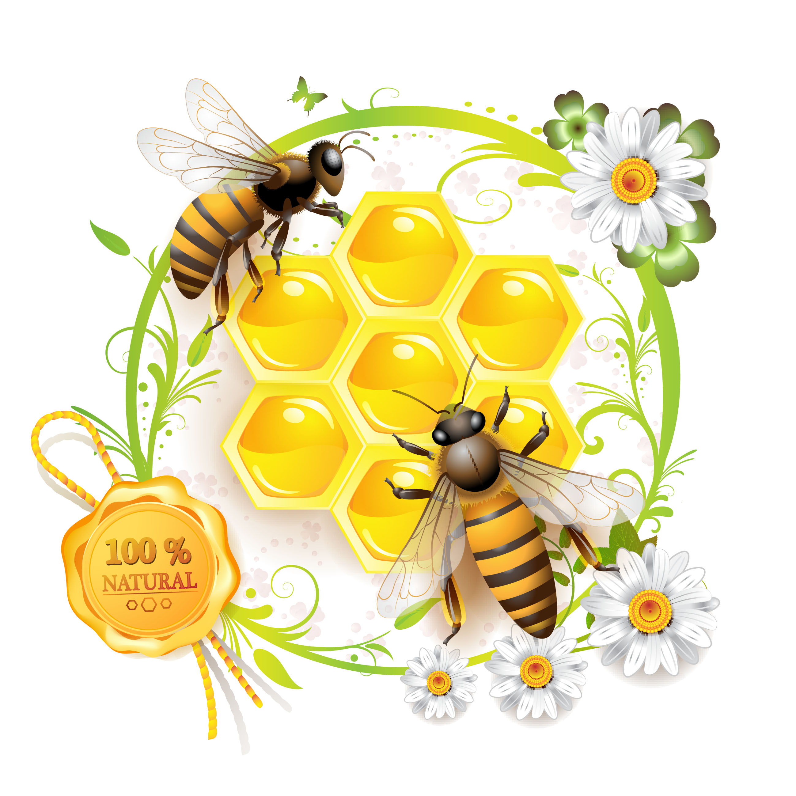 elements of honey and bees vector set